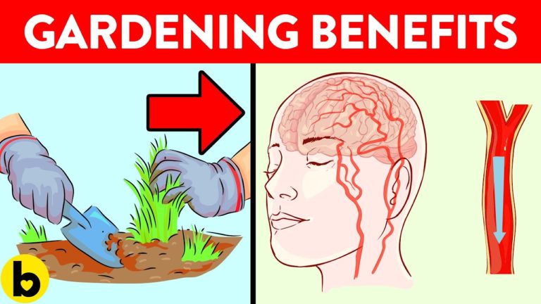 8 Ways Gardening Can Improve Your Health