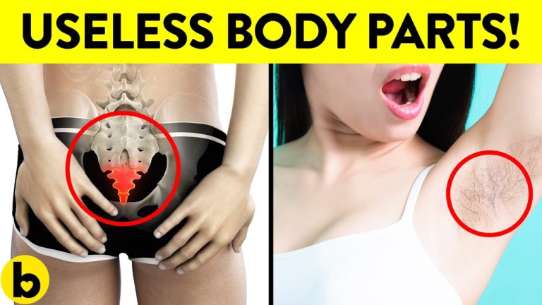 7 Human Body Parts That You Don’t Need!