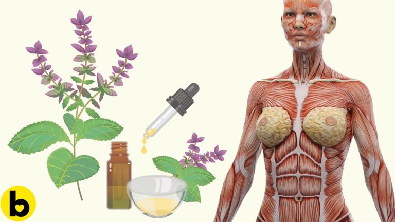 13 Amazing Sage Oil Health Benefits That Can Change Your Life