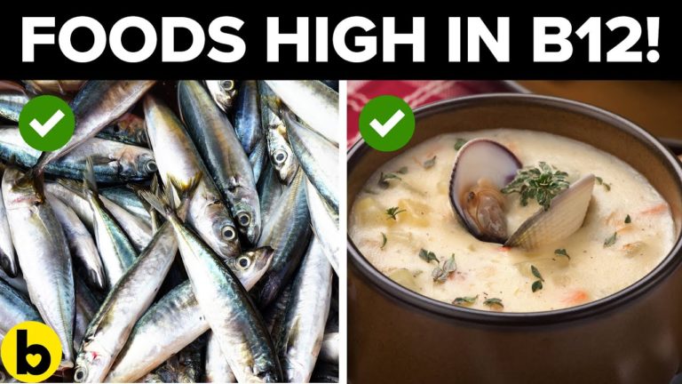 Top 6 Meals That Are HIGH In Vitamin B12!