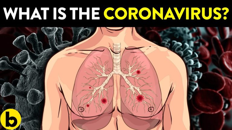 6 Very Important Things To Know About The Coronavirus