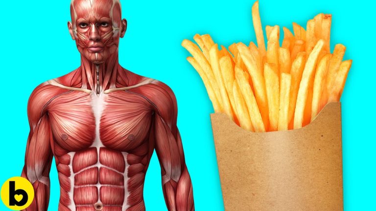 What Eating French Fries Everyday Will Do To Your Body