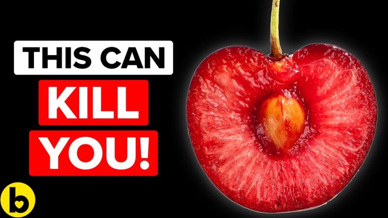 Why You Should Never Try These 11 POPULAR Foods! – They Can KILL You!