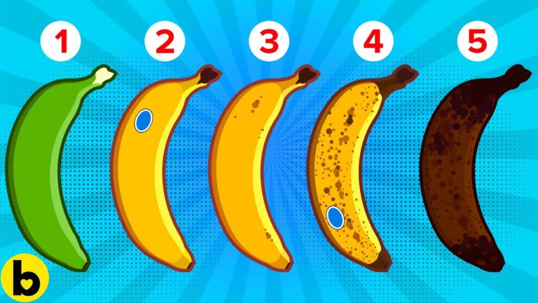 Which Banana Would You Eat?